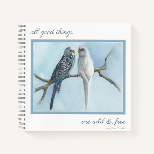 Journal Note Birds Budgies Sketch book write diary (Front)
