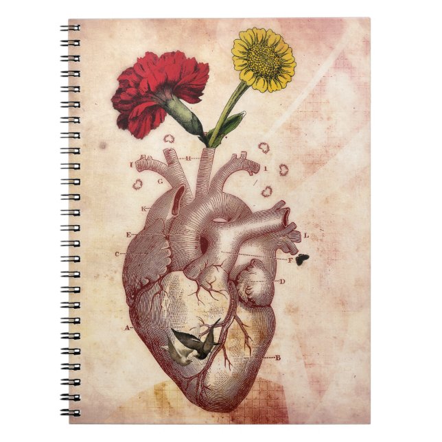 Journal, Notebook, Spiral, Anatomie 2, Heart Notebook (Front)