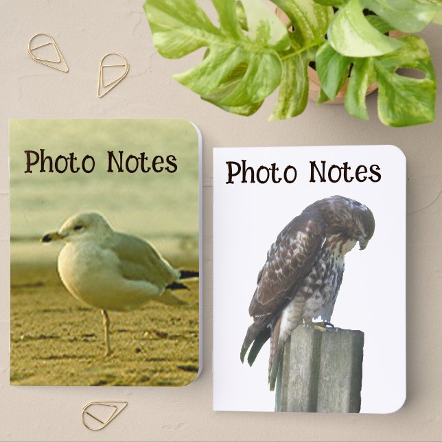 Journal - Photo Notes (Desk)