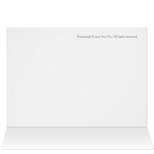 Journey of a Thousand Miles (Inside Horizontal (Top))