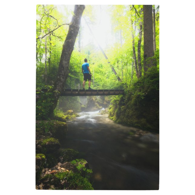 Journey through the magical forest metal print (Front)