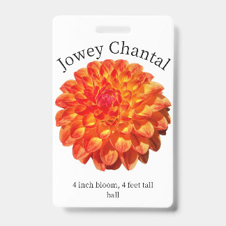 Jowey Chantal Dahlia ID Badge