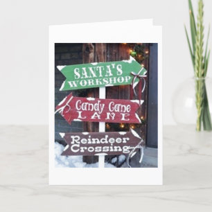 JOY AND WARMTH AT HOLIDAY AND NEW YEAR