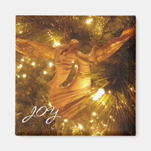 Joy - Angel Magnet