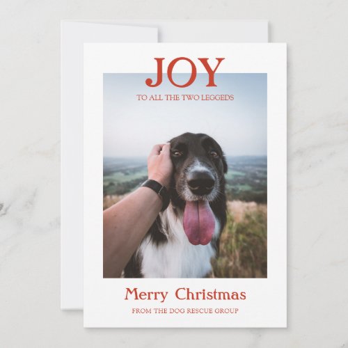 Joy Christmas Dog Photo From Rescue Group Holiday Card