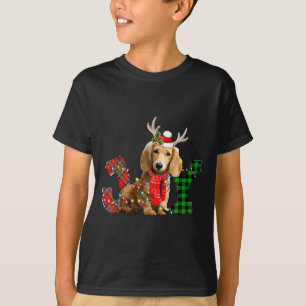 Joy Christmas Lights Long Haired Dachshund Dog San T-Shirt