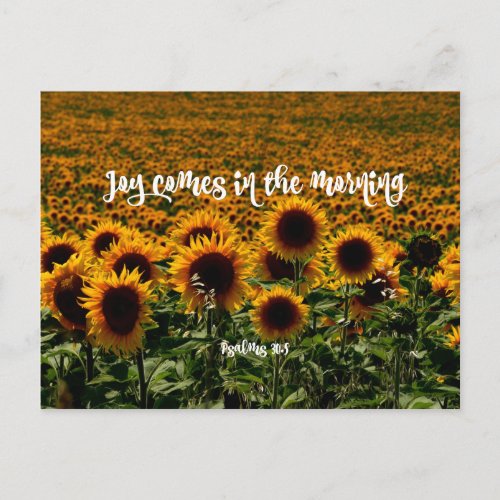 Joy comes in the Morning Verse Postcard