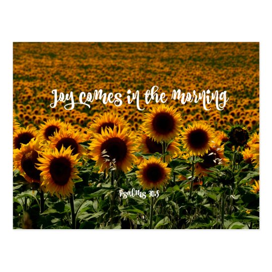 Joy comes in the Morning Verse Postcard | Zazzle.com