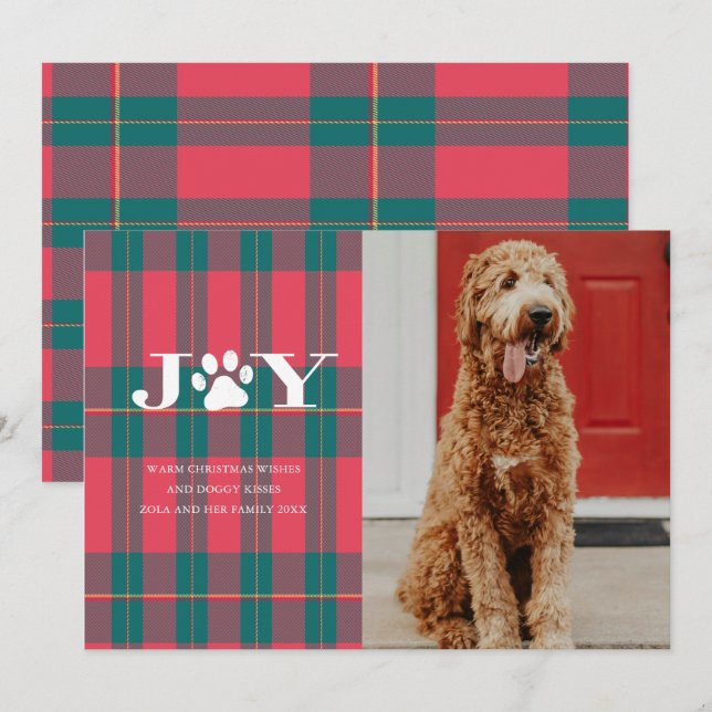 JOY Filled Paws Pet Photo Holiday Card (Front/Back)