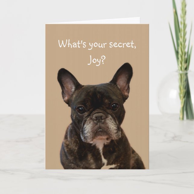 Joy French Bulldog Happy Birthday Card (Front)