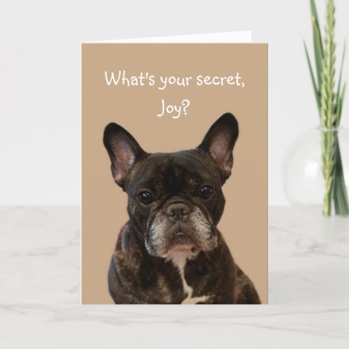 Joy French Bulldog Happy Birthday Card