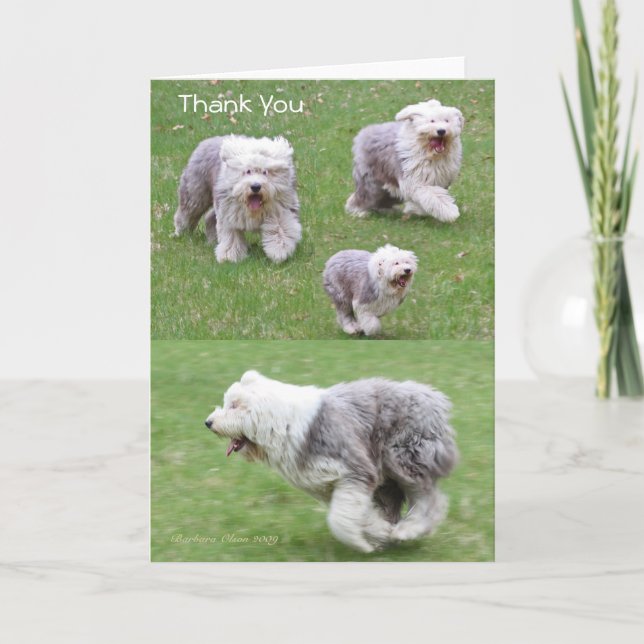 Joy is the Simplest form of Gratitude. Thank You Card (Front)