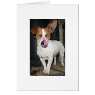 Joy Licking Her Chops Cards