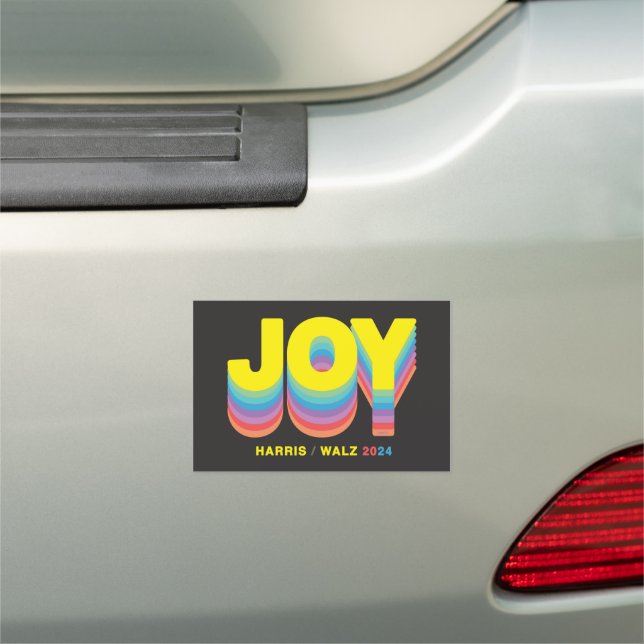 JOY MAGNET (In Situ)