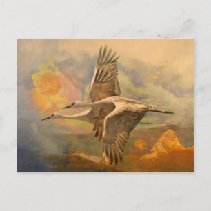 Joy, Message from Apollo Postcard