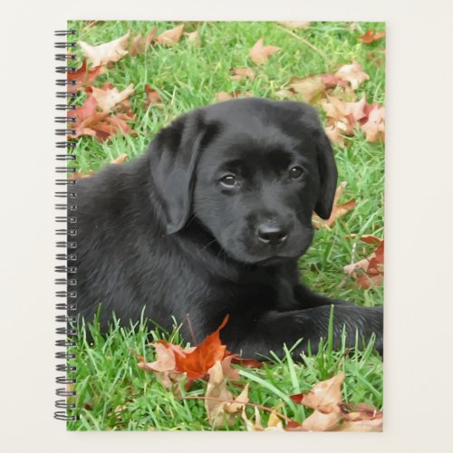 Joy of Autumn _ Labrador Puppy _ Black Lab Planner