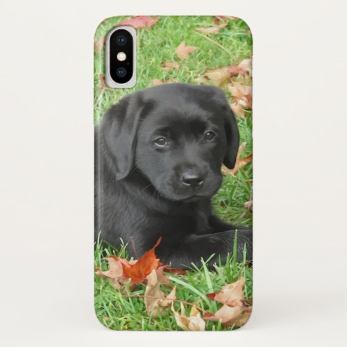 Joy of Autumn_ Labrador Retriever Puppy_ Black Lab iPhone X Case