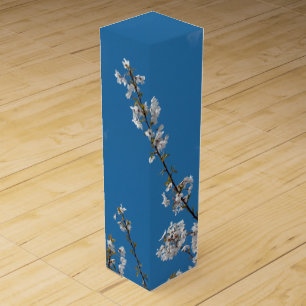 Joy of life! Spring cherry blossom branches in sky Wine Box