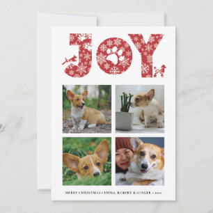 JOY Paws Snowflake Pet Lover Four Photo Collage Holiday Card