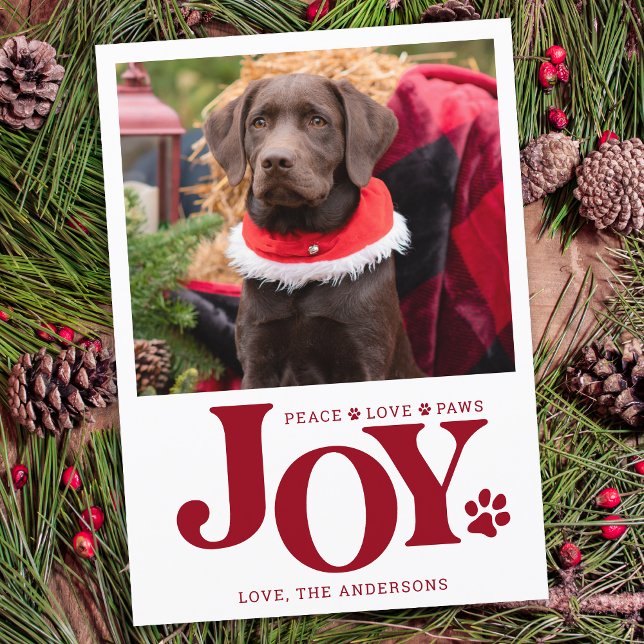 JOY Personalized Pet Photo Red Paw Print Dog Holiday Card (Creator Uploaded)