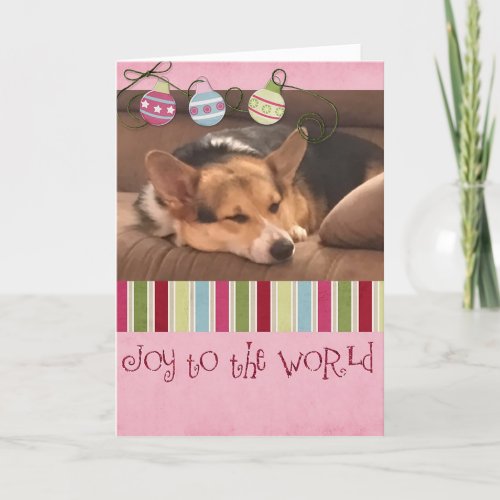 Joy to the World Corgi Holiday Card