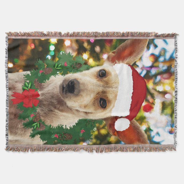 Joy to thee Puppy Throw Blanket (Front)