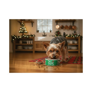 Joy. Woof. Wag.™ Christmas Green Dog Bowl