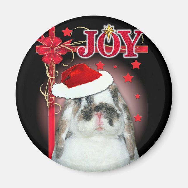 Joy Xmas Magnet (Front)