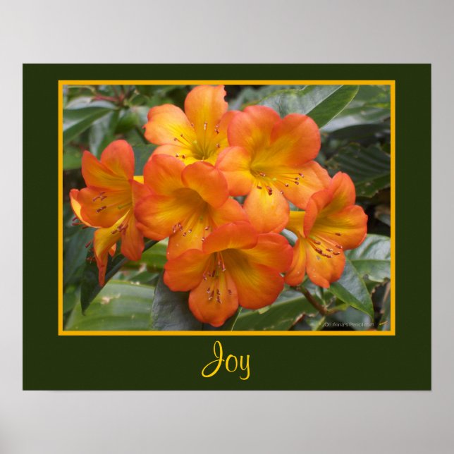 Joy Zen Meditation Orange Flowers Photo Templat Poster (Front)