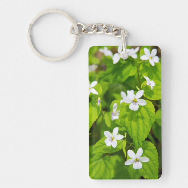 Joyce Kilmer-Slickrock Wilderness Keychain (Front)