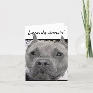 Pitbull Birthday Cards | Zazzle