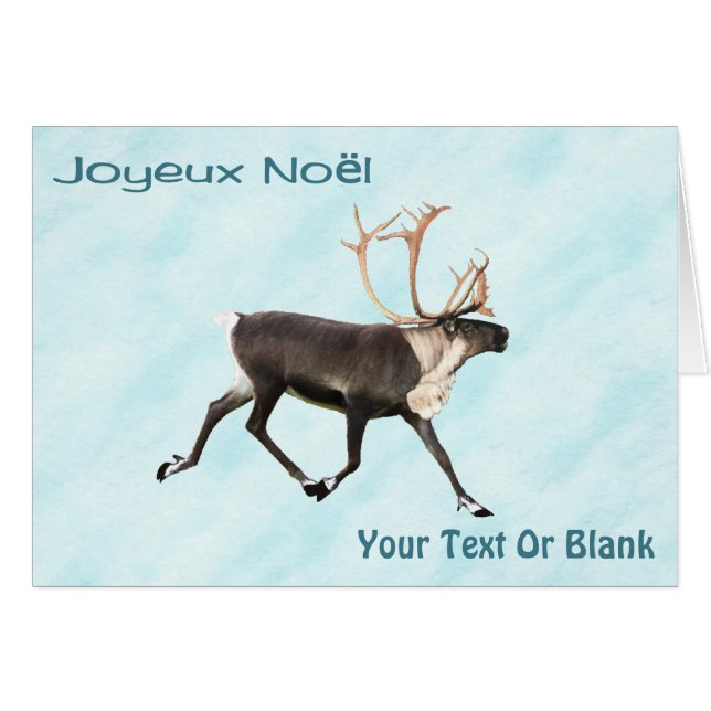 Joyeux Noёl - Caribou (Reindeer) On Snow (Front Horizontal)
