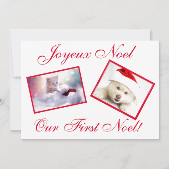 Joyeux Noel Best Friends Pets First Noel Card