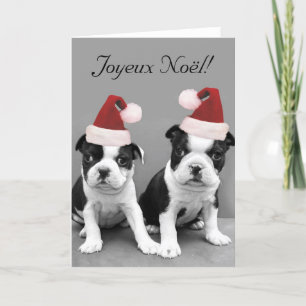 Joyeux Noël Boston Terriers greeting card