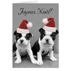 Joyeux No&#235;l Boston Terriers greeting card