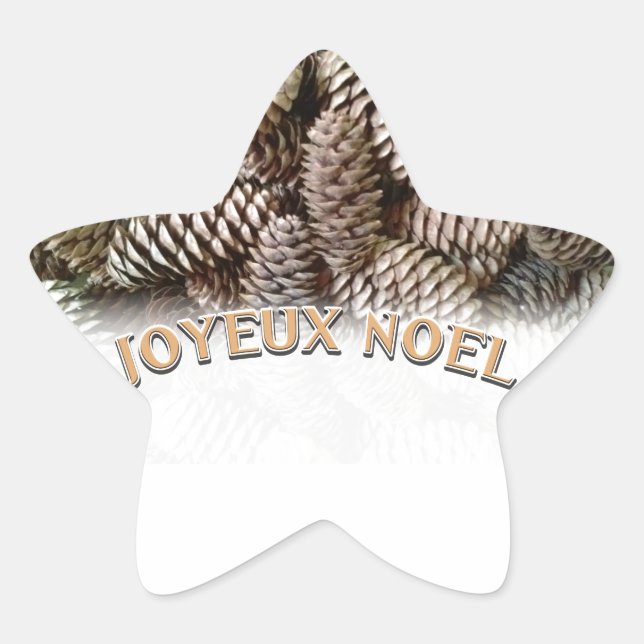 Joyeux Noel Christmas Holiday Pine Cone Star Sticker (Front)