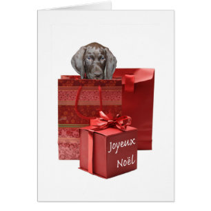 Joyeux Noël german shorthaired pointer puppy Cards