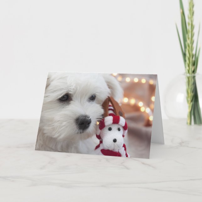 Joyeux Noël ! Holiday Card (Front)