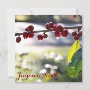 Joyeux Noel Square Card