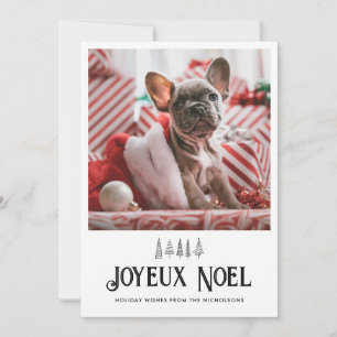Joyeux Noel Typography Cute Pet Christmas Photo Holiday Card