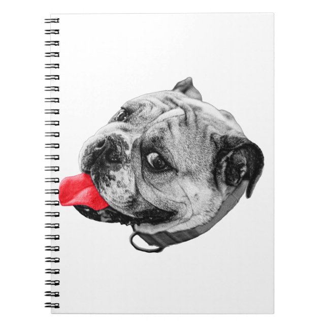 Joyful Accent Notes Notebook (Front)
