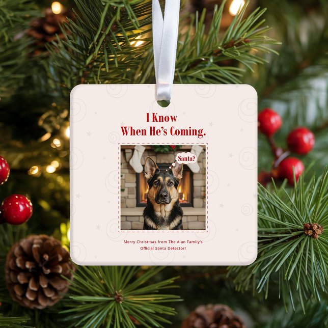 Joyful Funny Dog Pet Photo Christmas Holiday Ceramic Ornament (Creator Uploaded)