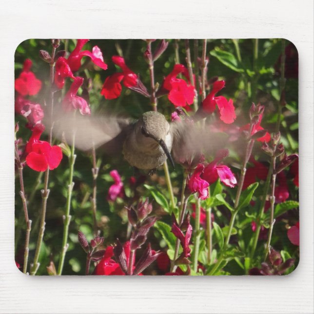 Joyful Hummingbird Mousepad (Front)
