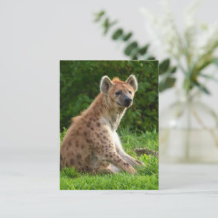 Joyful Hyena Amidst Greenery Postcard