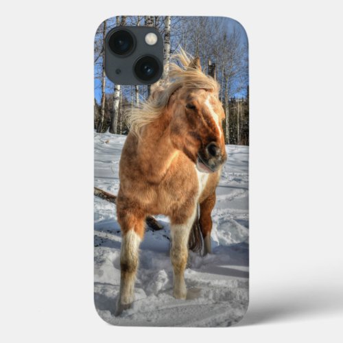 Joyful Palomino Pinto Horse and Snow iPhone 13 Case