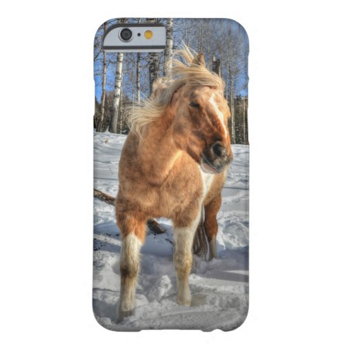 Joyful Palomino Pinto Horse and Snow Barely There iPhone 6 Case