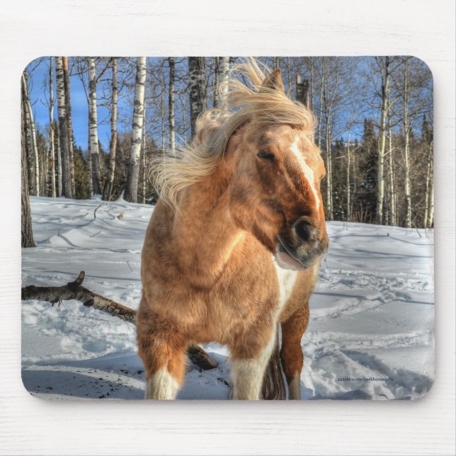 Joyful Palomino Pinto Horse and Snow Mouse Pad (Front)