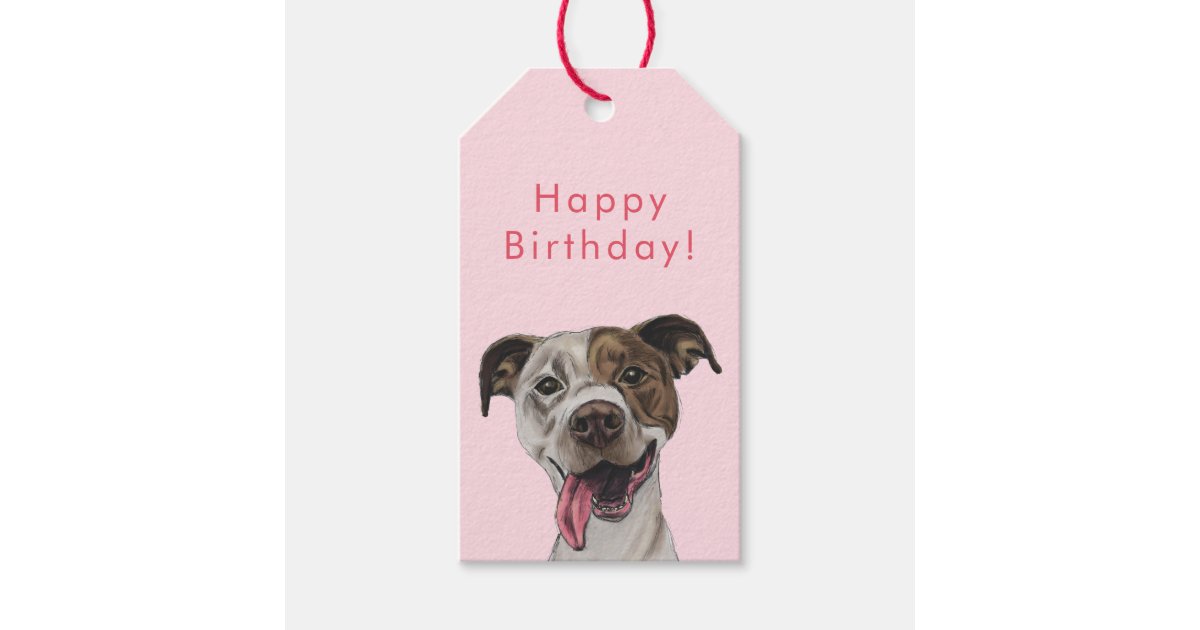 happy birthday pitbull dog