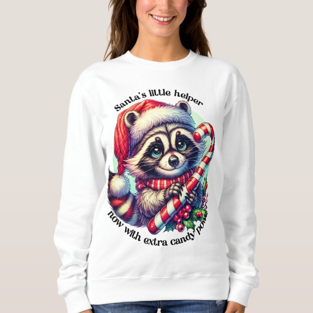 Joyful raccoon in Santa hat Sweatshirt (Front)