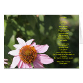 Joy's Birth. (Front Horizontal)